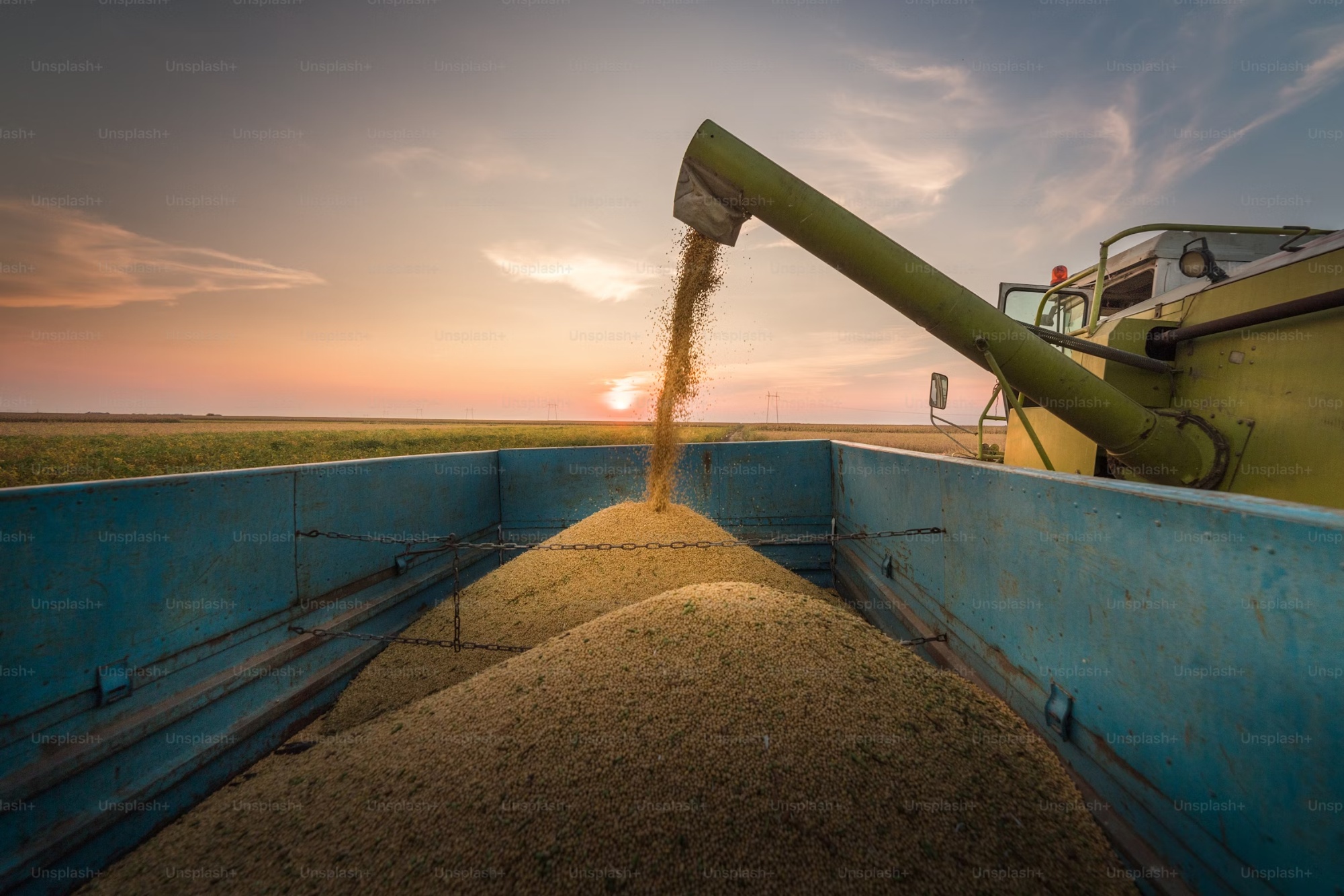 Grain dealers warehouses safher