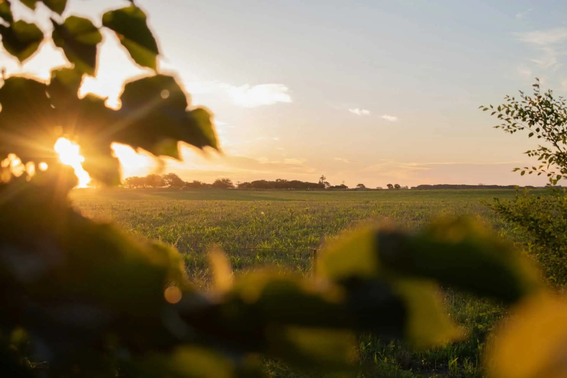 Valen Gorordo G3r7rflzyxa Unsplash